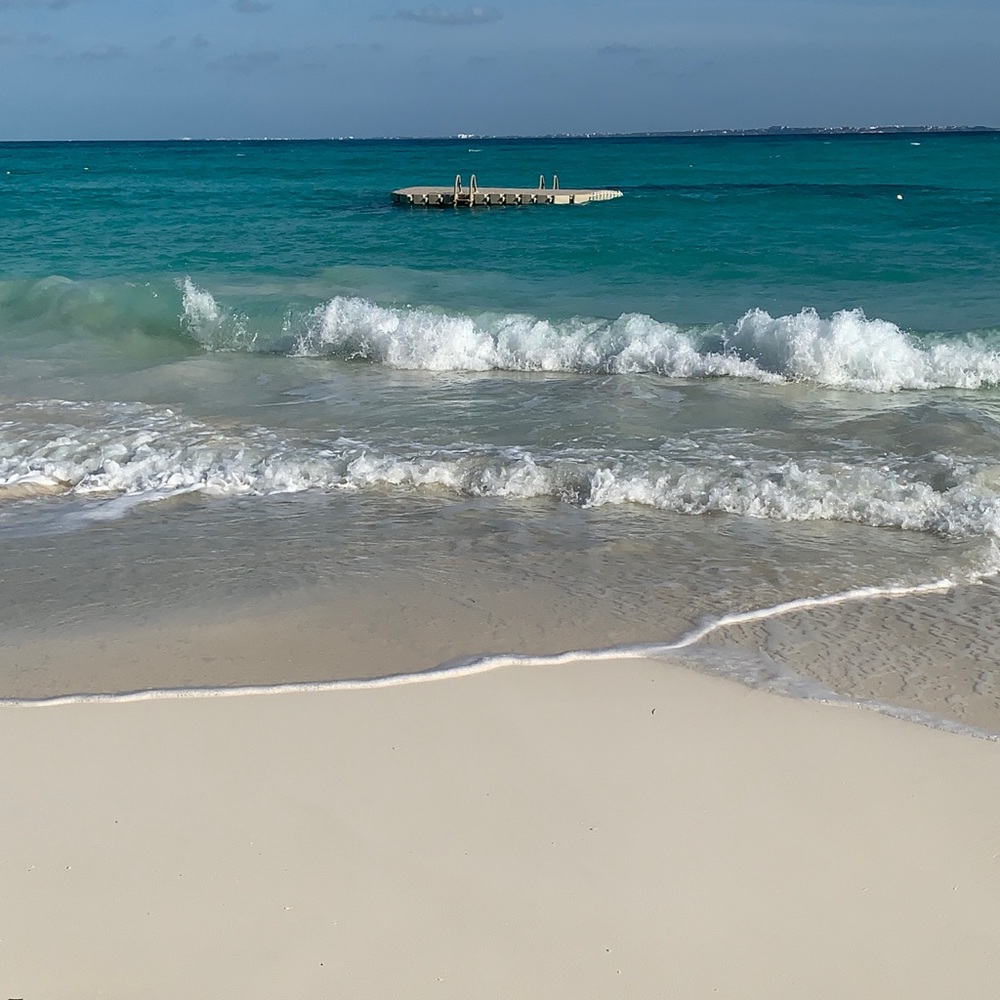 Meet your Posher, Cathy